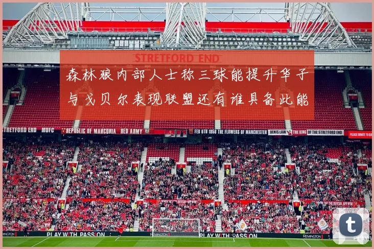 森林狼内部人士称三球能提升华子与戈贝尔表现联盟还有谁具备此能力
